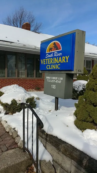 South River Veterinary Clinic: Boulos B DVM Picture 1