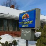 South River Veterinary Clinic: Boulos B DVM