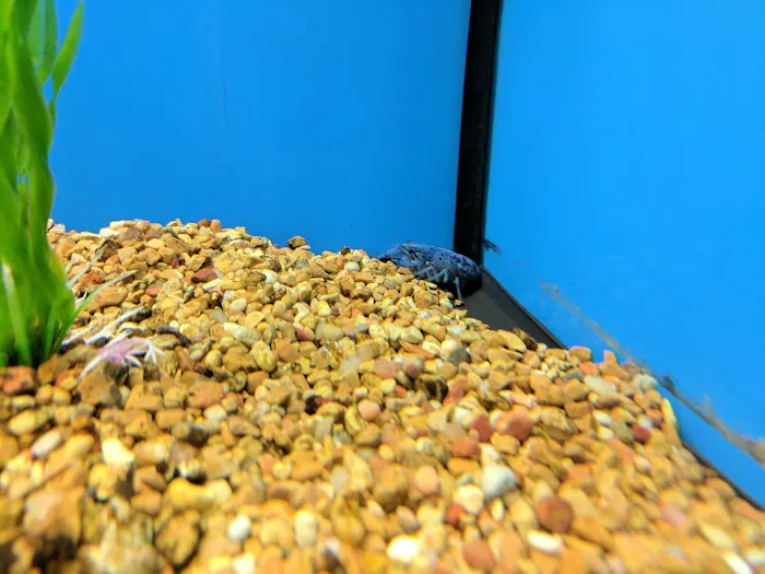 Petco Picture 3