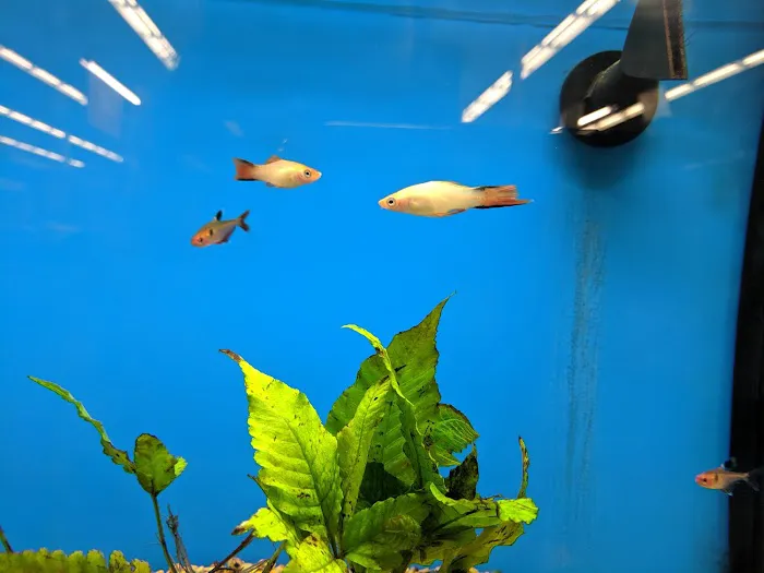 Petco Picture 6