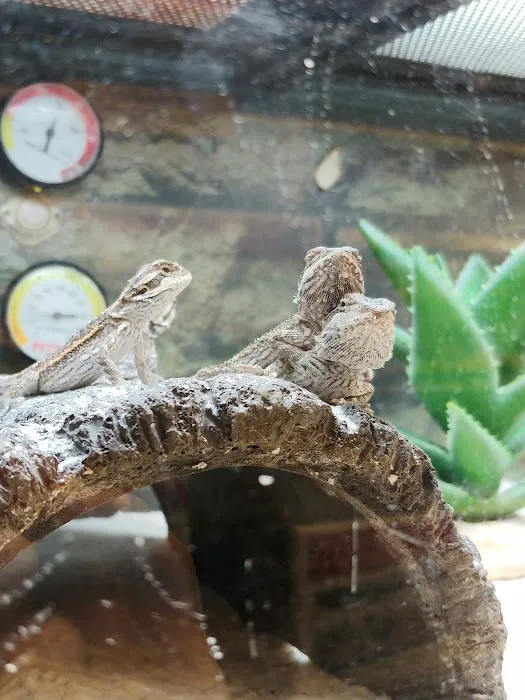 Petco Picture 5