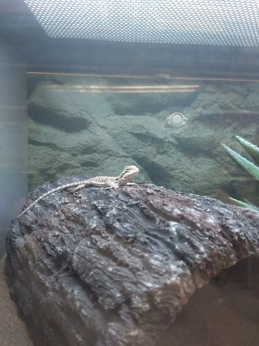Petco Picture 8