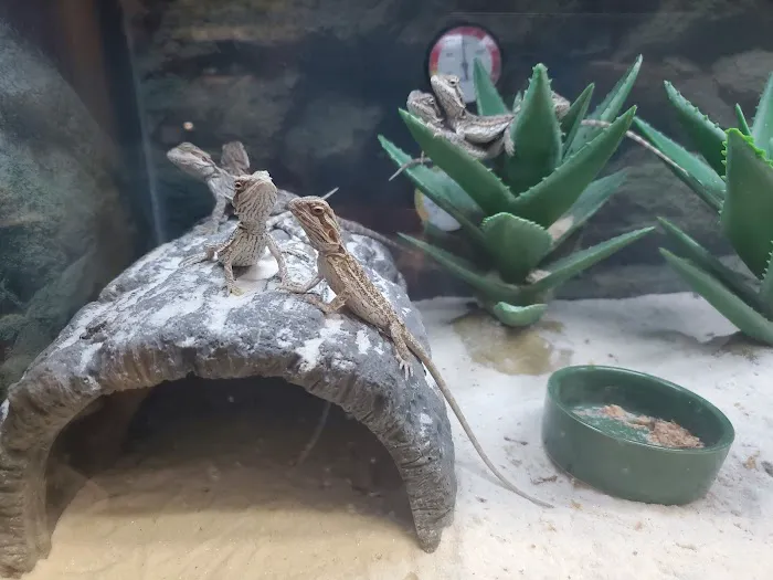 Petco Picture 9