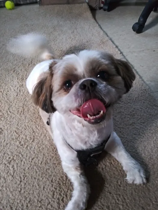 Petco Picture 10