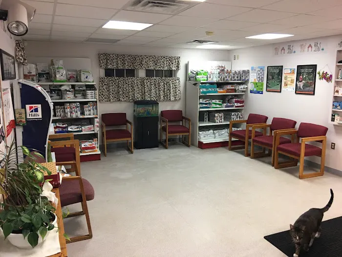 Animal Clinic of Warren Picture 4