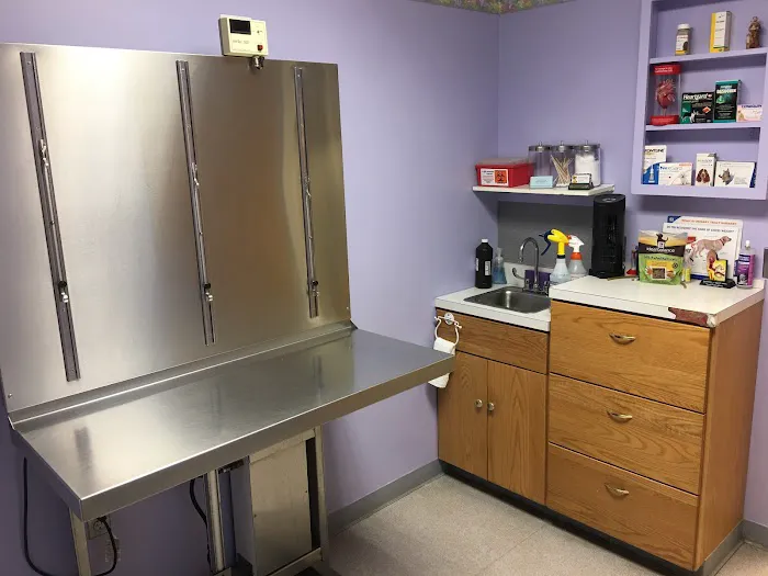 Animal Clinic of Warren Picture 1