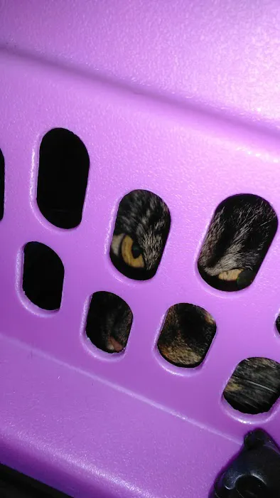 Animal Clinic of Warren Picture 5