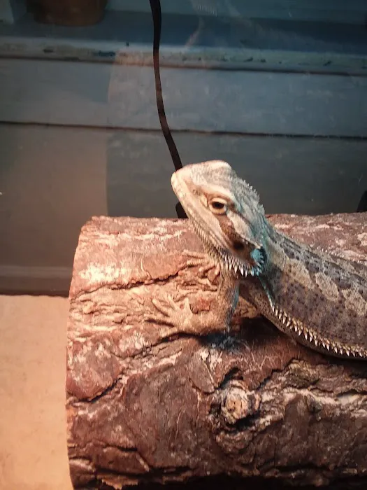 Petco Picture 2