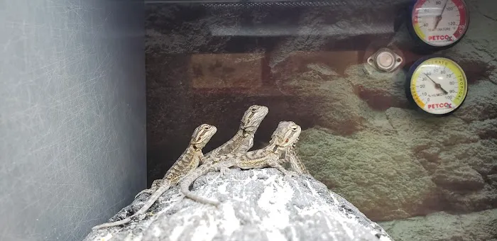 Petco Picture 1