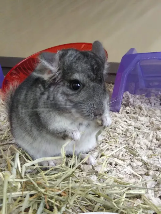 Petco Picture 6