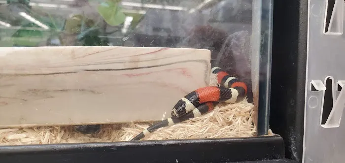 Petco Picture 10