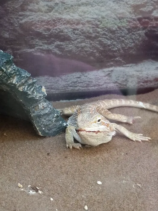 Petco Picture 9