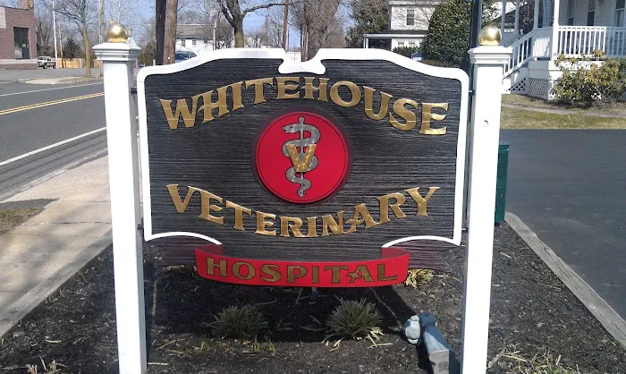 Whitehouse Veterinary Hospital Picture 8