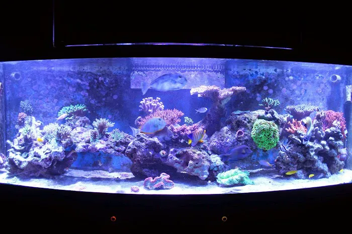 Marine Design And Service Picture 3