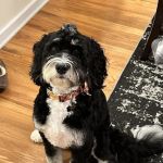 Hunterdon Hills Animal Hospital