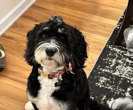 Hunterdon Hills Animal Hospital