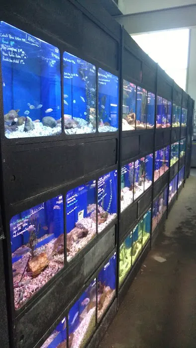Eddie's Aquarium Centre Picture 4