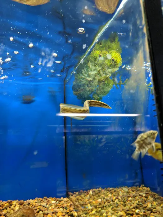 Eddie's Aquarium Centre Picture 5