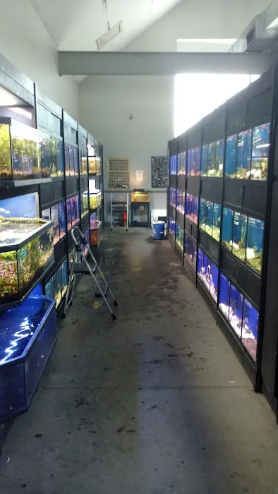 Eddie's Aquarium Centre Picture 8