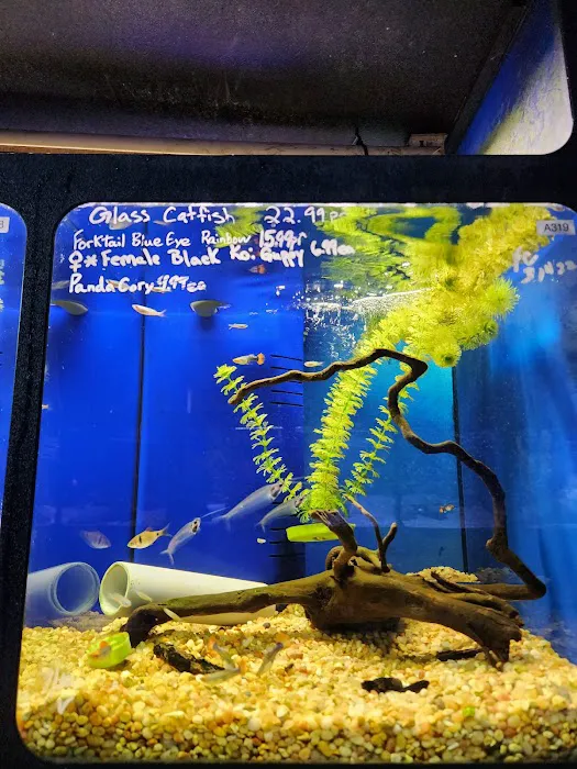 Eddie's Aquarium Centre Picture 7