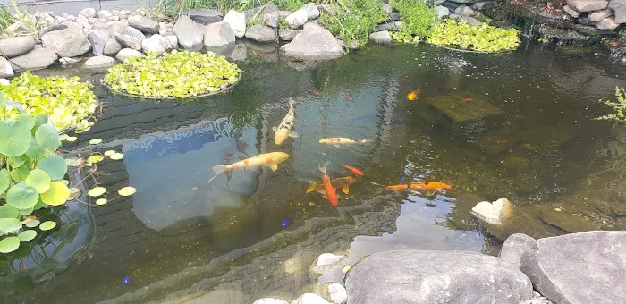 Eddie's Aquarium Centre Picture 10