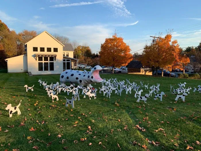 Oldwick Animal Hospital Picture 5