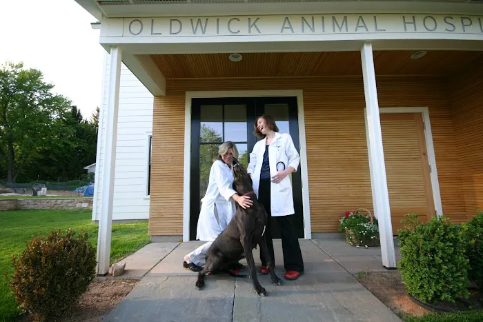 Oldwick Animal Hospital Picture 9