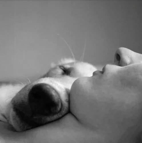 Animal Health Care of Marlboro Picture 9