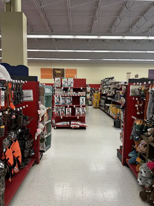 Petco Picture 1
