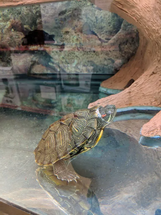 Petco Picture 5