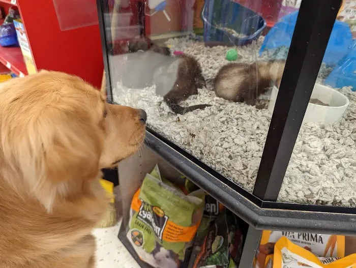 Petco Picture 6
