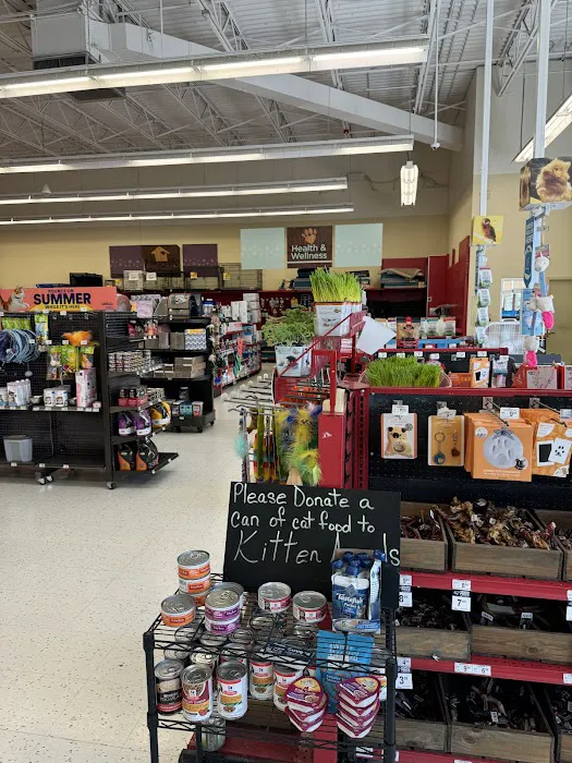 Petco Picture 4