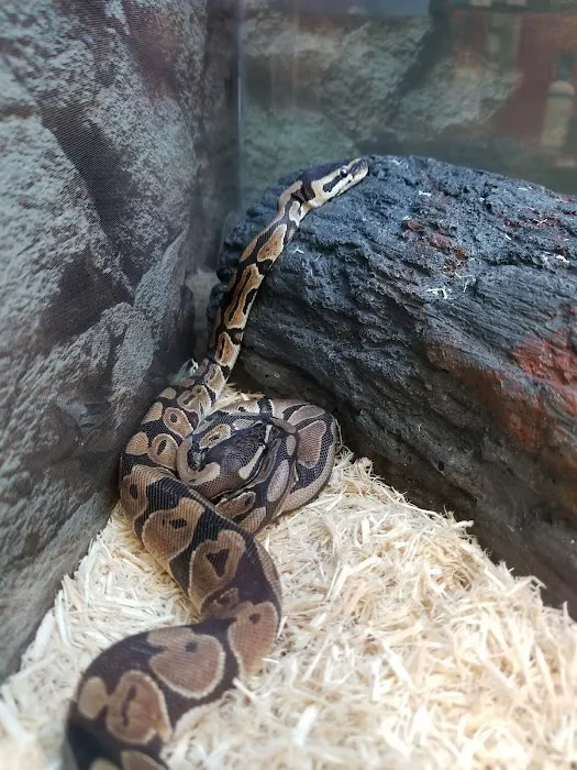 Petco Picture 9