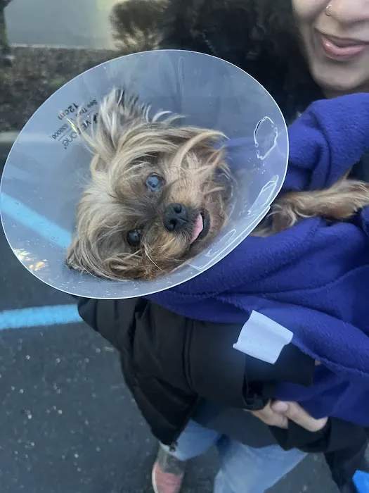 Vetco Total Care Animal Hospital Picture 6