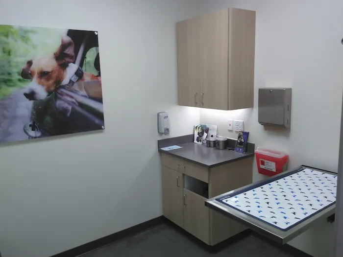 Vetco Total Care Animal Hospital Picture 10