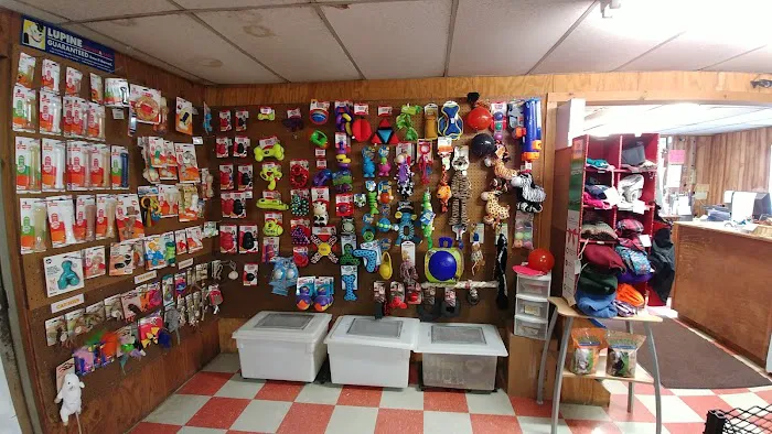 Mt Tully Kennels Picture 2