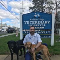 Marlboro Village Veterinary Hospital of Marlboro and Aberdeen, 