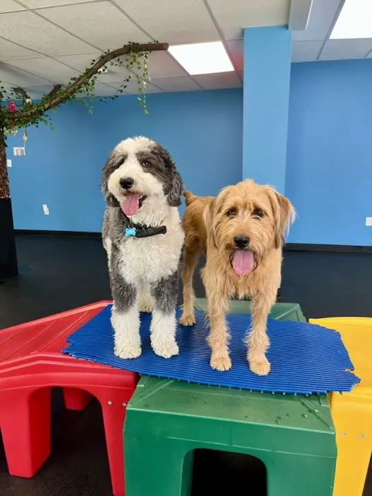 Marlboro Village Veterinary Hospital of Marlboro and Aberdeen,