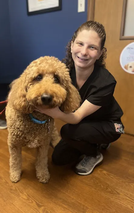Marlboro Village Veterinary Hospital of Marlboro and Aberdeen,
