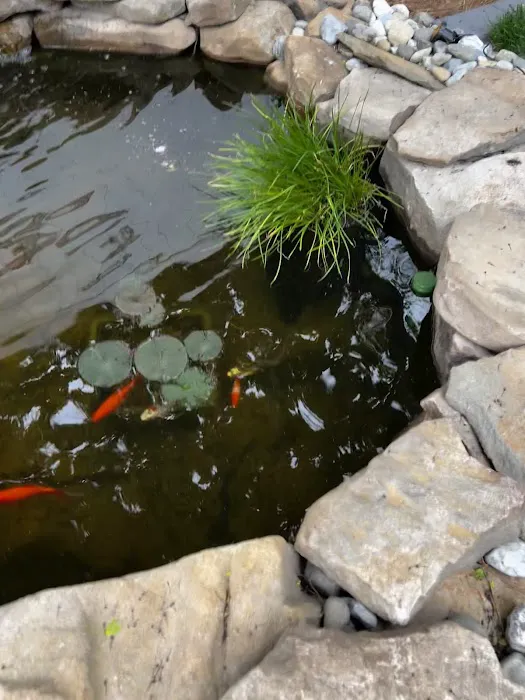 Golden Dragon Gardens Picture 2