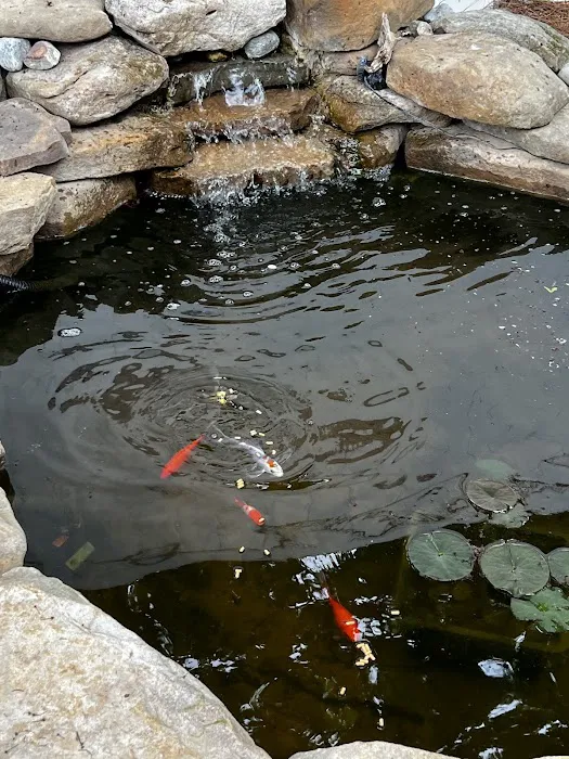 Golden Dragon Gardens Picture 1