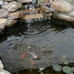 Golden Dragon Gardens
