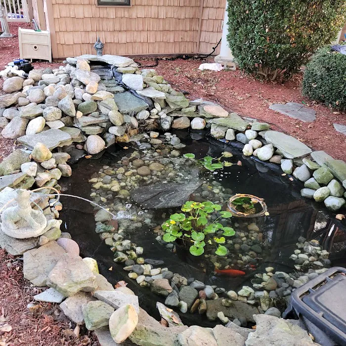 Golden Dragon Gardens Picture 6