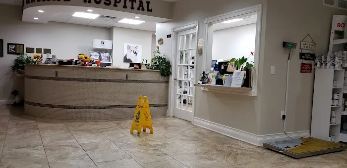 4 Paws Animal Hospital Picture 4