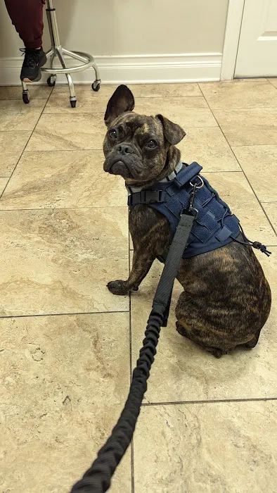 4 Paws Animal Hospital Picture 10