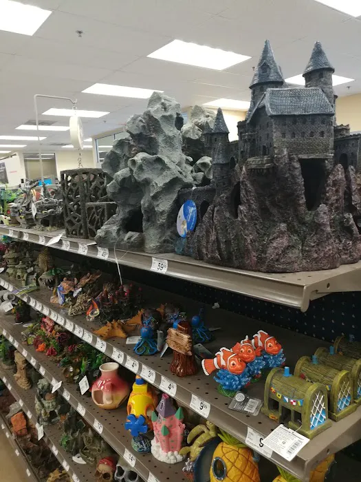Petco Picture 2