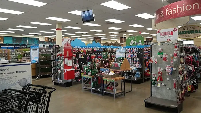 Petco Picture 3