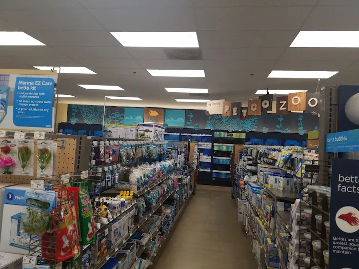 Petco Picture 4