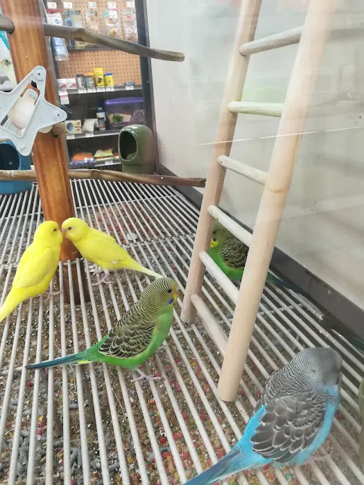 Petco Picture 7