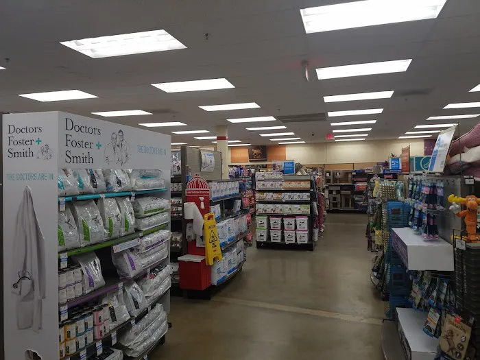 Petco Picture 8